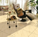 Golden Print Ceramic Tiles