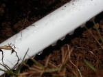 MOISTUBE