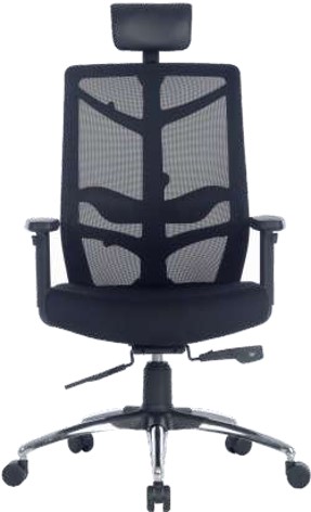 CHAIR: NATURE
