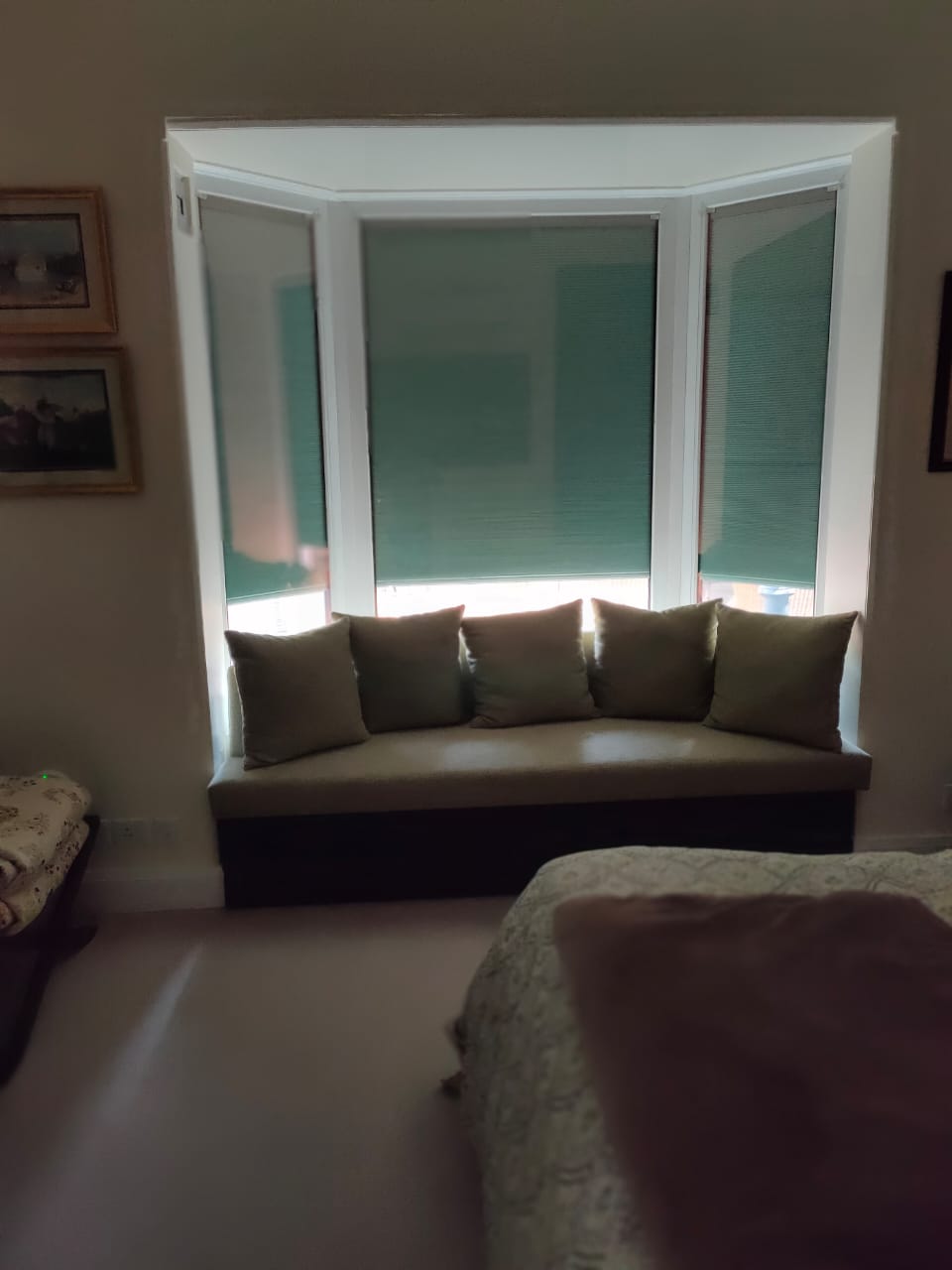 AIS Integrated Blinds