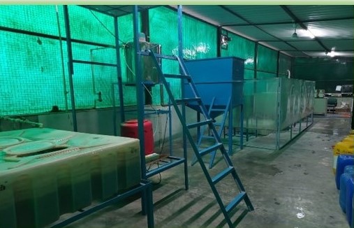 TADOX® (TERI Advanced Oxidation Technology)