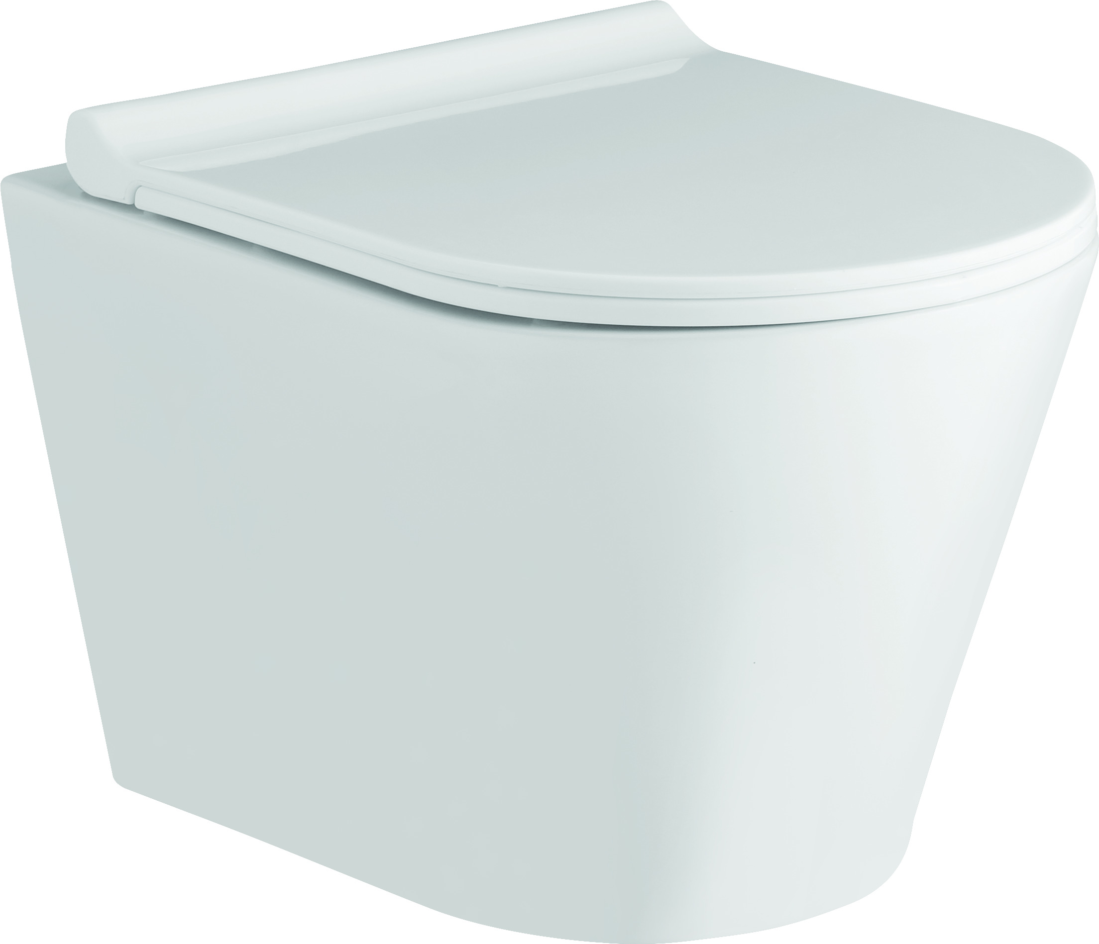 Tonia-Rimless Wall Hung White (KS118-PP)