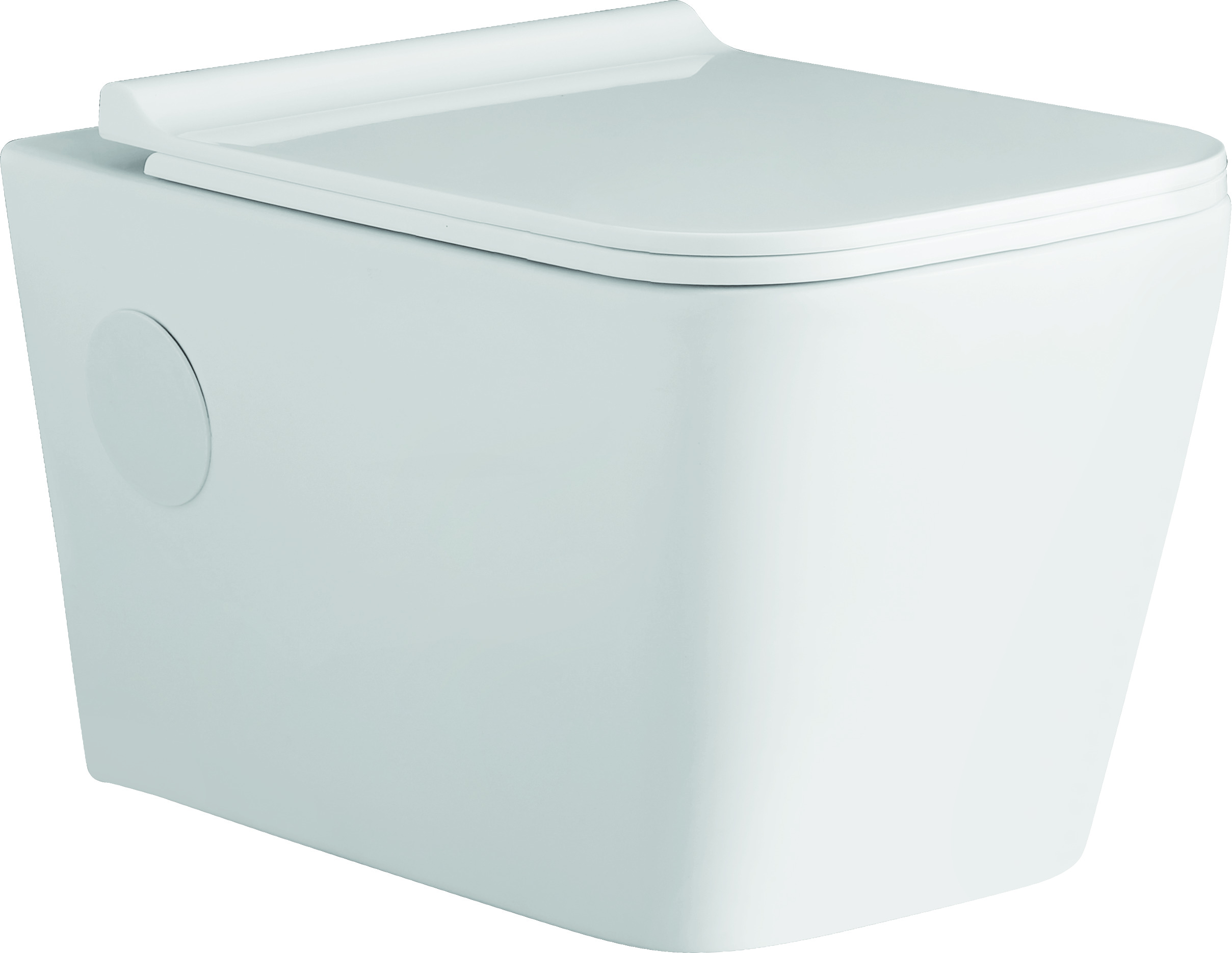 Montana- Wall Hung White (KS134)