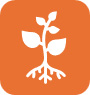 Build Eco-Consciousness & Leadership