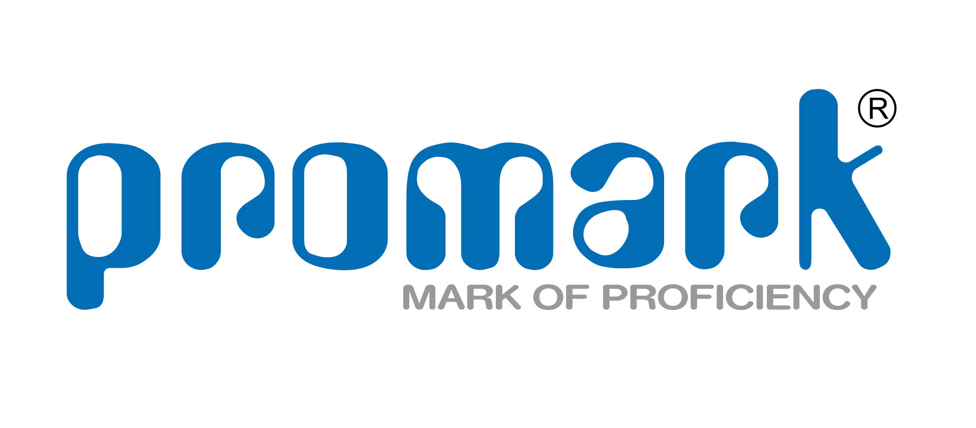 PROMARK TECHSOLUTIONS PRIVATE LIMITED