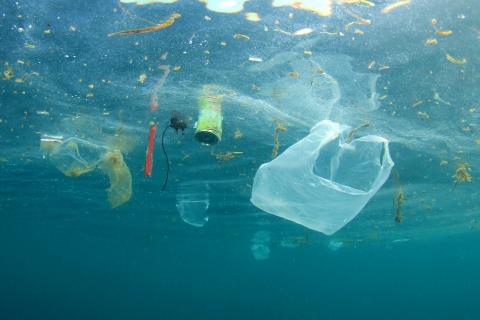 Plastic Waste Pollution