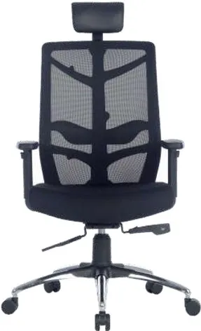 CHAIR: NATURE