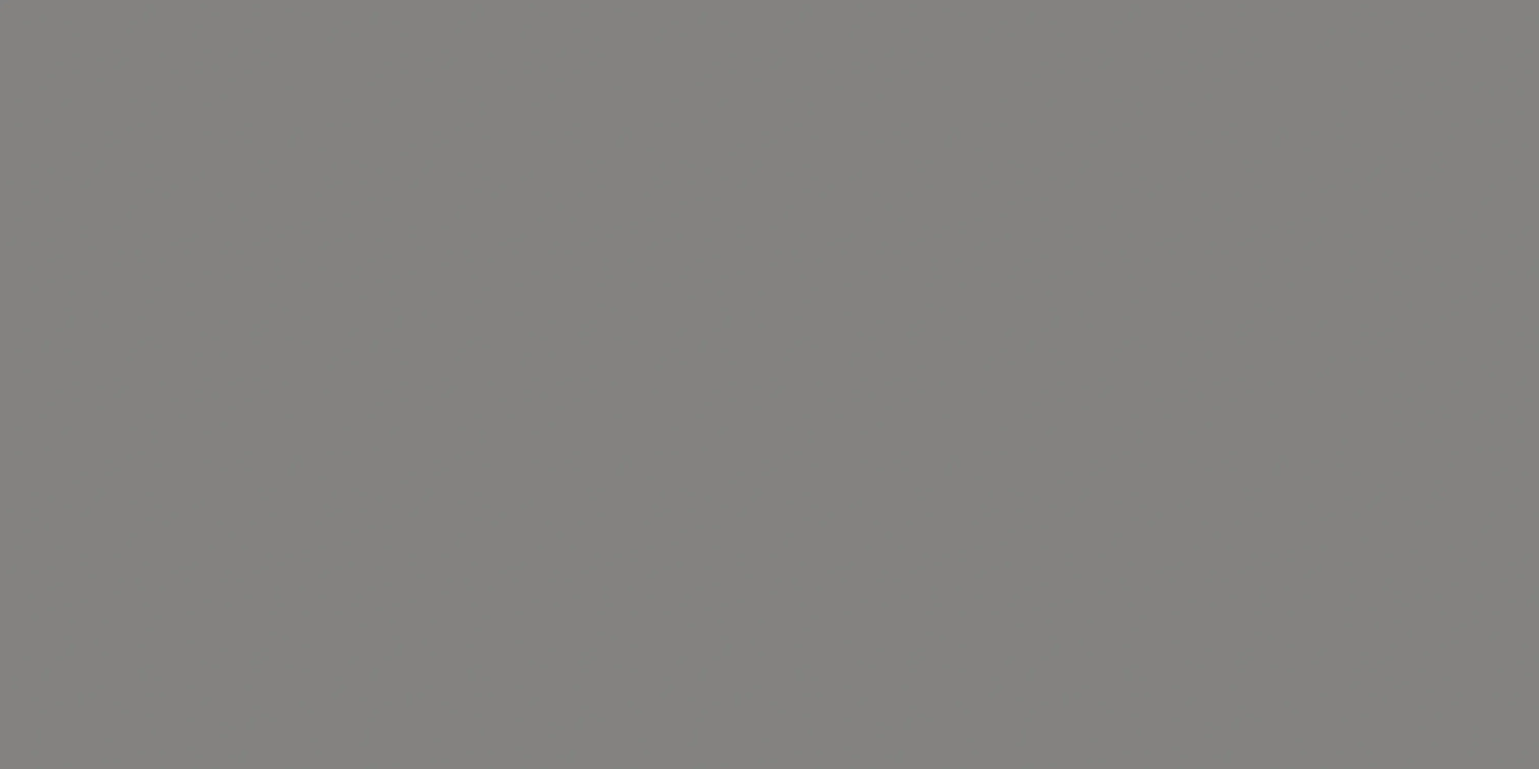 Slate Grey Matt (600 x 1200 mm)